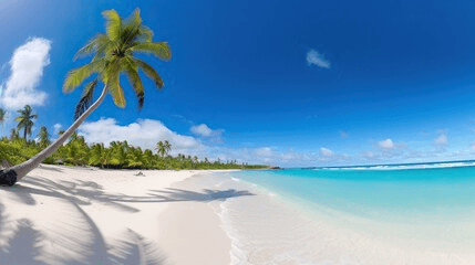 Panoramic Cuban beach with palm trees